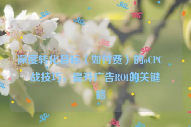 深度轉(zhuǎn)化目標(biāo)（如付費(fèi)）的oCPC實(shí)戰(zhàn)技巧，提升廣告ROI的關(guān)鍵策略