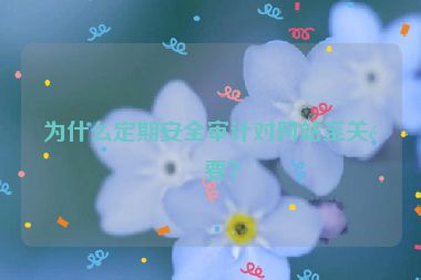 為什么定期安全審計(jì)對(duì)網(wǎng)站至關(guān)重要？