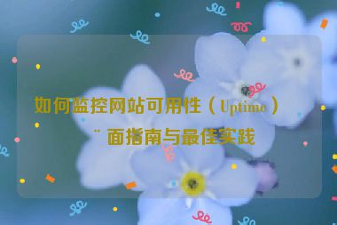 如何監(jiān)控網(wǎng)站可用性（Uptime）全面指南與最佳實踐