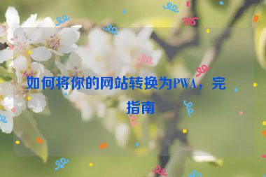 如何將你的網(wǎng)站轉(zhuǎn)換為PWA，完整指南