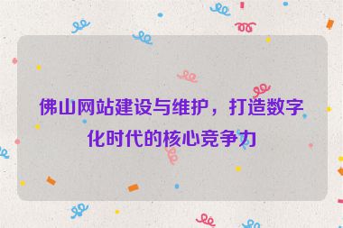 佛山網(wǎng)站建設(shè)與維護(hù)，打造數(shù)字化時(shí)代的核心競(jìng)爭(zhēng)力