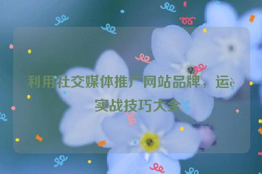 利用社交媒體推廣網(wǎng)站品牌，運營實戰(zhàn)技巧大全