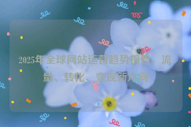2025年全球網(wǎng)站運(yùn)營(yíng)趨勢(shì)報(bào)告，流量、轉(zhuǎn)化、變現(xiàn)新方向