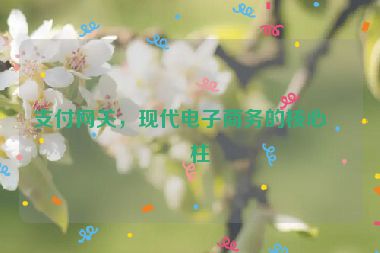 支付網(wǎng)關(guān)，現(xiàn)代電子商務(wù)的核心支柱