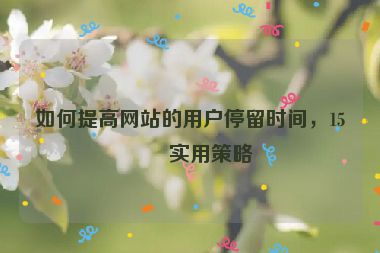 如何提高網(wǎng)站的用戶停留時間，15個實用策略