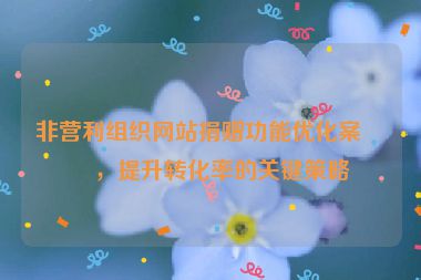 非營(yíng)利組織網(wǎng)站捐贈(zèng)功能優(yōu)化案例，提升轉(zhuǎn)化率的關(guān)鍵策略