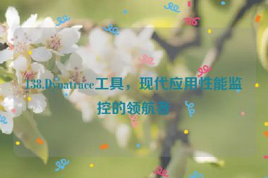 138.Dynatrace工具，現(xiàn)代應用性能監(jiān)控的領航者