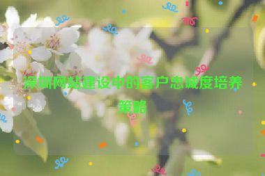 深圳網(wǎng)站建設中的客戶忠誠度培養(yǎng)策略