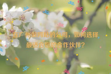 在廣州做網(wǎng)站的公司，如何選擇最適合您的合作伙伴？