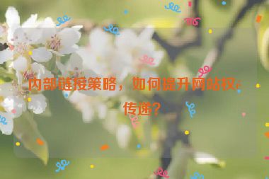 內(nèi)部鏈接策略，如何提升網(wǎng)站權(quán)重傳遞？