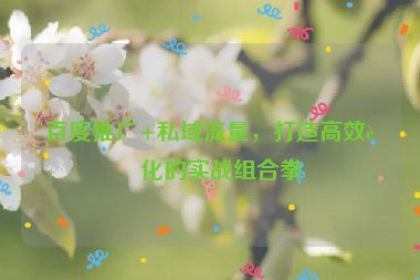 百度推廣+私域流量，打造高效轉(zhuǎn)化的實(shí)戰(zhàn)組合拳