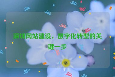深圳網(wǎng)站建設，數(shù)字化轉(zhuǎn)型的關(guān)鍵一步