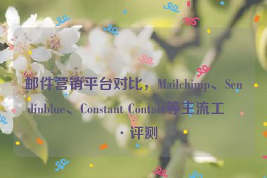 郵件營銷平臺對比，Mailchimp、Sendinblue、Constant Contact等主流工具評測