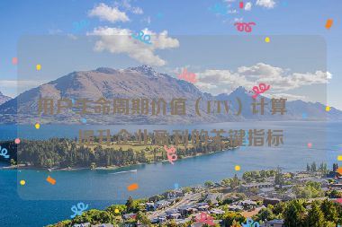 用戶生命周期價值（LTV）計算，提升企業(yè)盈利的關(guān)鍵指標(biāo)