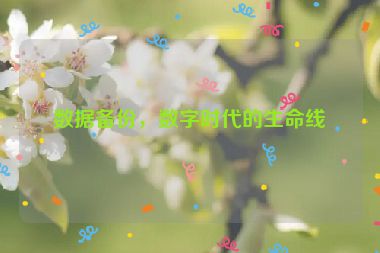 數(shù)據(jù)備份，數(shù)字時(shí)代的生命線