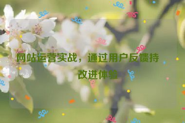 網(wǎng)站運營實戰(zhàn)，通過用戶反饋持續(xù)改進體驗