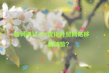 如何通過AMP優(yōu)化外貿(mào)網(wǎng)站移動端體驗？