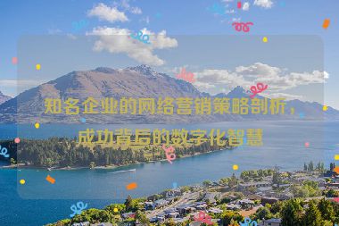 知名企業(yè)的網(wǎng)絡(luò)營(yíng)銷策略剖析，成功背后的數(shù)字化智慧
