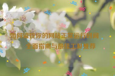 如何監(jiān)控你的網(wǎng)站正常運(yùn)行時(shí)間？全面指南與最佳工具推薦