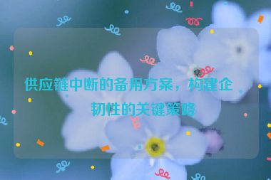 供應(yīng)鏈中斷的備用方案，構(gòu)建企業(yè)韌性的關(guān)鍵策略