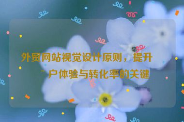 外貿(mào)網(wǎng)站視覺設計原則，提升用戶體驗與轉化率的關鍵