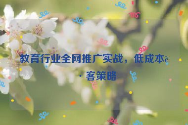教育行業(yè)全網(wǎng)推廣實(shí)戰(zhàn)，低成本獲客策略