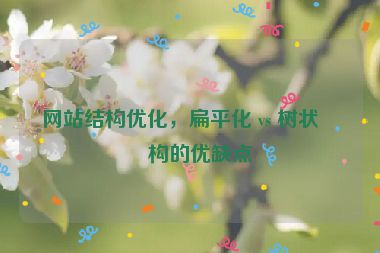 網(wǎng)站結(jié)構(gòu)優(yōu)化，扁平化 vs 樹狀結(jié)構(gòu)的優(yōu)缺點