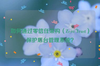 如何通過(guò)零信任架構(gòu)（Zero Trust）保護(hù)后臺(tái)管理系統(tǒng)？
