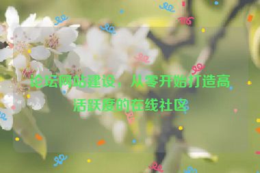 論壇網(wǎng)站建設(shè)，從零開始打造高活躍度的在線社區(qū)