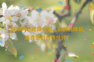深圳網(wǎng)站建設(shè)公司，如何選擇最適合您的合作伙伴？