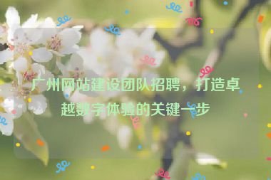 廣州網(wǎng)站建設(shè)團(tuán)隊招聘，打造卓越數(shù)字體驗的關(guān)鍵一步