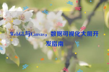 WebGL與Canvas，數(shù)據(jù)可視化大屏開(kāi)發(fā)指南