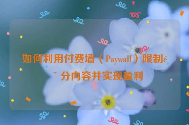 如何利用付費(fèi)墻（Paywall）限制部分內(nèi)容并實(shí)現(xiàn)盈利
