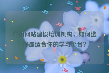 廣州網(wǎng)站建設(shè)培訓(xùn)機(jī)構(gòu)，如何選擇最適合你的學(xué)習(xí)平臺(tái)？