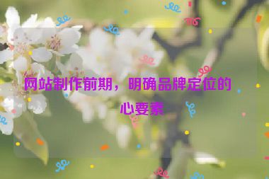 網(wǎng)站制作前期，明確品牌定位的核心要素