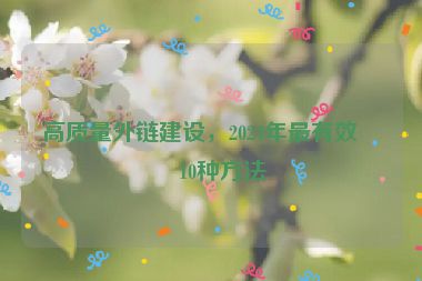 高質(zhì)量外鏈建設(shè)，2024年最有效的10種方法