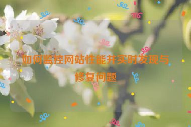 如何監(jiān)控網(wǎng)站性能并實(shí)時(shí)發(fā)現(xiàn)與修復(fù)問(wèn)題