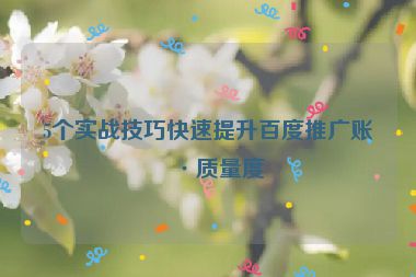 5個實戰(zhàn)技巧快速提升百度推廣賬戶質(zhì)量度