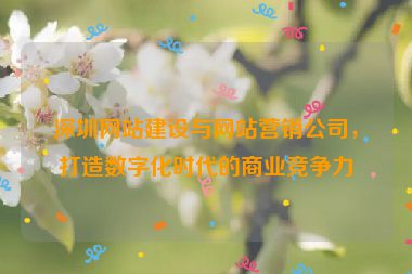 深圳網(wǎng)站建設(shè)與網(wǎng)站營銷公司，打造數(shù)字化時(shí)代的商業(yè)競(jìng)爭(zhēng)力