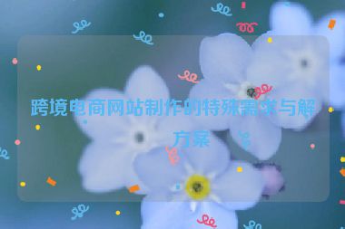 跨境電商網(wǎng)站制作的特殊需求與解決方案