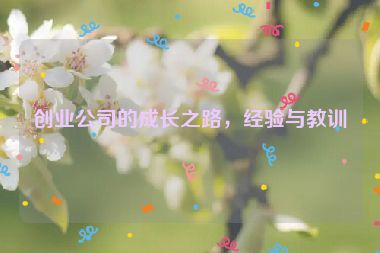 創(chuàng)業(yè)公司的成長(zhǎng)之路，經(jīng)驗(yàn)與教訓(xùn)