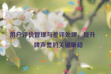 用戶評價管理與差評處理，提升品牌聲譽的關(guān)鍵策略