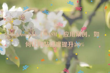 WebAssembly（WASM）應(yīng)用案例，如何讓網(wǎng)站速度提升300%