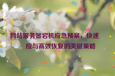網(wǎng)站服務(wù)器宕機(jī)應(yīng)急預(yù)案，快速響應(yīng)與高效恢復(fù)的關(guān)鍵策略
