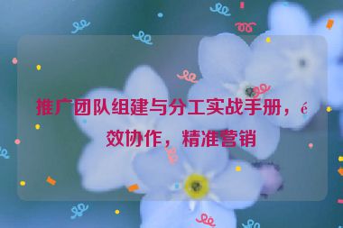 推廣團(tuán)隊(duì)組建與分工實(shí)戰(zhàn)手冊(cè)，高效協(xié)作，精準(zhǔn)營(yíng)銷