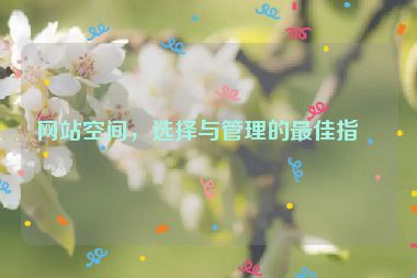網(wǎng)站空間，選擇與管理的最佳指南