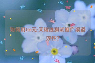 如何用100元/天精準(zhǔn)測(cè)試推廣渠道有效性？