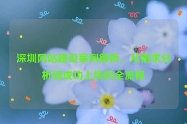 深圳網(wǎng)站建設(shè)案例解析，從需求分析到成功上線的全流程