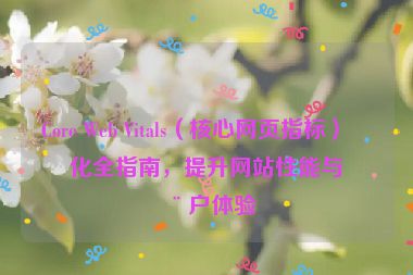 Core Web Vitals（核心網(wǎng)頁(yè)指標(biāo)）優(yōu)化全指南，提升網(wǎng)站性能與用戶(hù)體驗(yàn)