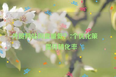 外貿(mào)網(wǎng)站詢盤量低？7個優(yōu)化策略提升轉(zhuǎn)化率